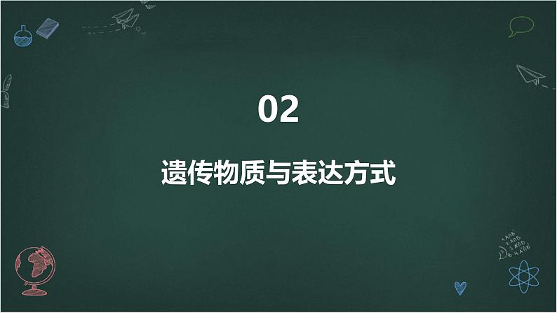 原核细胞和真核细胞的主要区别高中生物苏教版（2019） 必修1 分子与细胞 课件第8页