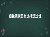 细胞质膜具有选择透过性高中生物苏教版（2019） 必修1 分子与细胞 课件