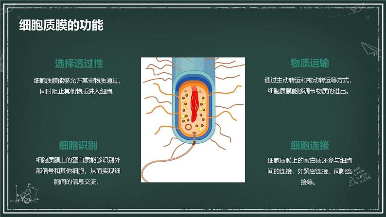 细胞质膜具有选择透过性高中生物苏教版（2019） 必修1 分子与细胞 课件06