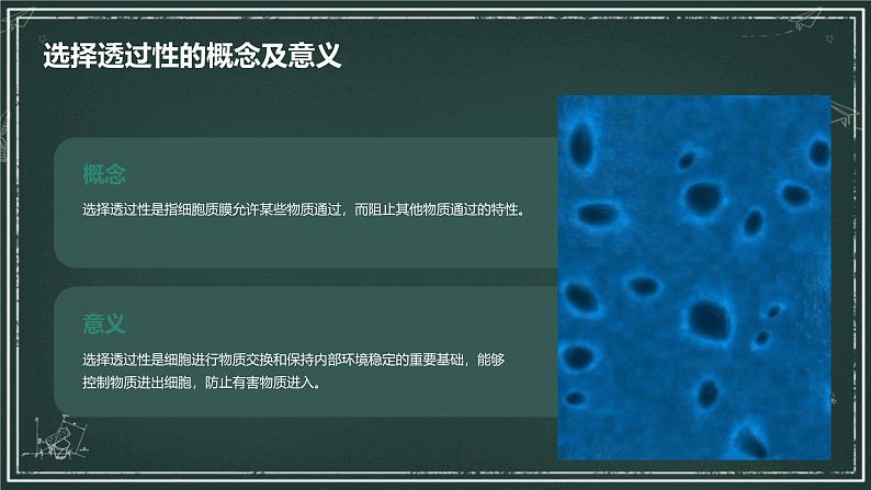 细胞质膜具有选择透过性高中生物苏教版（2019） 必修1 分子与细胞 课件08