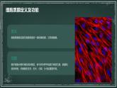 细胞质膜将细胞与外界环境分开高中生物苏教版（2019） 必修1 分子与细胞 课件