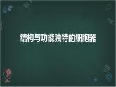 结构与功能独特的细胞器高中生物苏教版（2019） 必修1 分子与细胞 课件