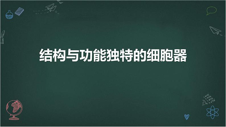 结构与功能独特的细胞器高中生物苏教版（2019） 必修1 分子与细胞 课件01