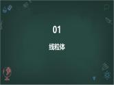 结构与功能独特的细胞器高中生物苏教版（2019） 必修1 分子与细胞 课件