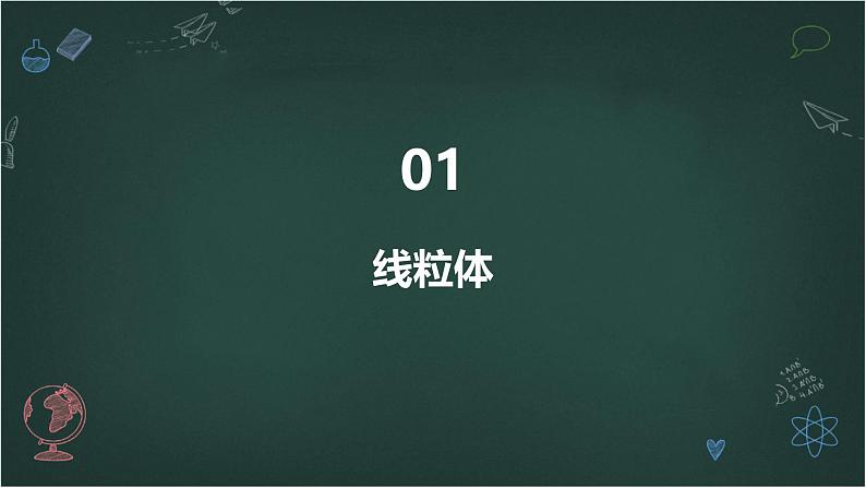 结构与功能独特的细胞器高中生物苏教版（2019） 必修1 分子与细胞 课件03