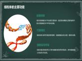 结构与功能独特的细胞器高中生物苏教版（2019） 必修1 分子与细胞 课件