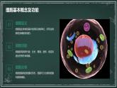 高中生物学：细胞各部分结构分工合作高中生物苏教版（2019） 必修1 分子与细胞 课件