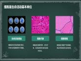 高中生物学：细胞各部分结构分工合作高中生物苏教版（2019） 必修1 分子与细胞 课件