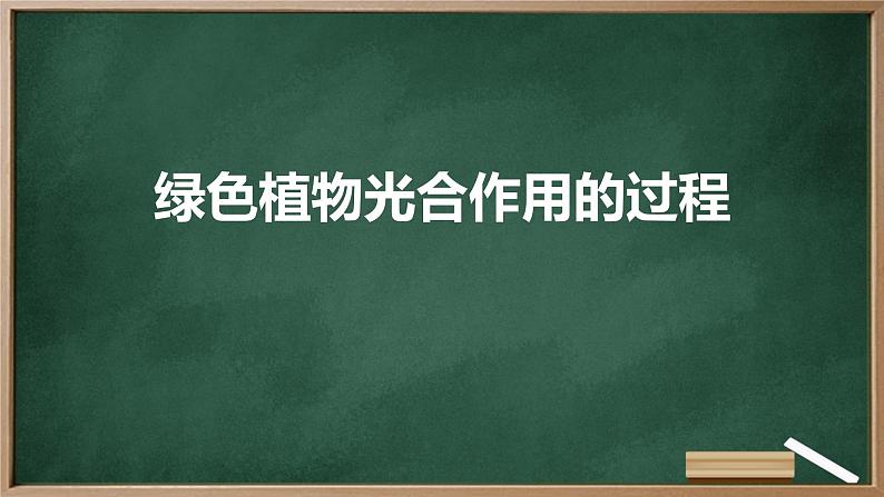 绿色植物光合作用的过程高中生物苏教版（2019） 必修1 分子与细胞 课件第1页