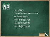 绿色植物光合作用的过程高中生物苏教版（2019） 必修1 分子与细胞 课件