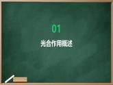 绿色植物光合作用的过程高中生物苏教版（2019） 必修1 分子与细胞 课件