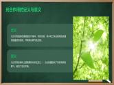绿色植物光合作用的过程高中生物苏教版（2019） 必修1 分子与细胞 课件