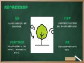 绿色植物光合作用的过程高中生物苏教版（2019） 必修1 分子与细胞 课件