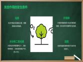 绿色植物光合作用的过程高中生物苏教版（2019） 必修1 分子与细胞 课件