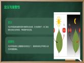 解开光合作用之谜高中生物苏教版（2019） 必修1 分子与细胞 课件