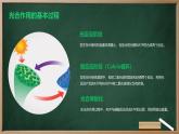 解开光合作用之谜高中生物苏教版（2019） 必修1 分子与细胞 课件