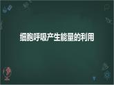 细胞呼吸产生能量的利用高中生物苏教版（2019） 必修1 分子与细胞 课件