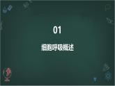 细胞呼吸产生能量的利用高中生物苏教版（2019） 必修1 分子与细胞 课件