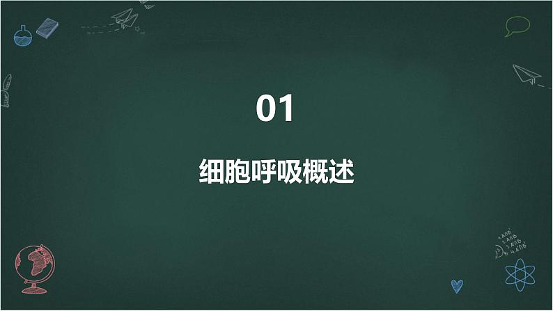 细胞呼吸产生能量的利用高中生物苏教版（2019） 必修1 分子与细胞 课件03