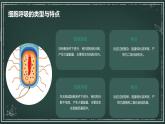 细胞呼吸产生能量的利用高中生物苏教版（2019） 必修1 分子与细胞 课件