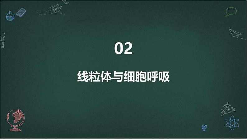 细胞呼吸产生能量的利用高中生物苏教版（2019） 必修1 分子与细胞 课件07