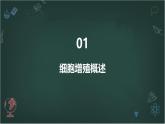 高中生物学-苏教版（2019）-必修1-分子与细胞-第四章-第一节细胞增殖课件