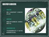 高中生物学-苏教版（2019）-必修1-分子与细胞-第四章-第一节细胞增殖课件