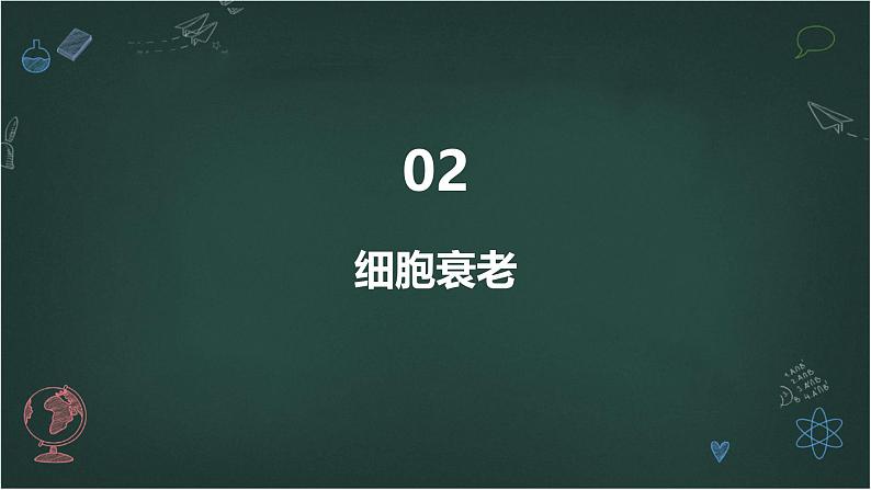 高中生物学：细胞分化、衰老和死亡高中生物苏教版（2019） 必修1 分子与细胞 课件第8页