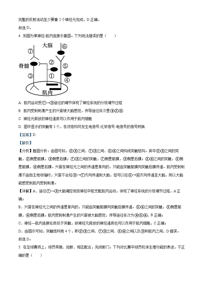 南宁市二中2023-2024学年高二上学期期中生物试题（解析版）第3页