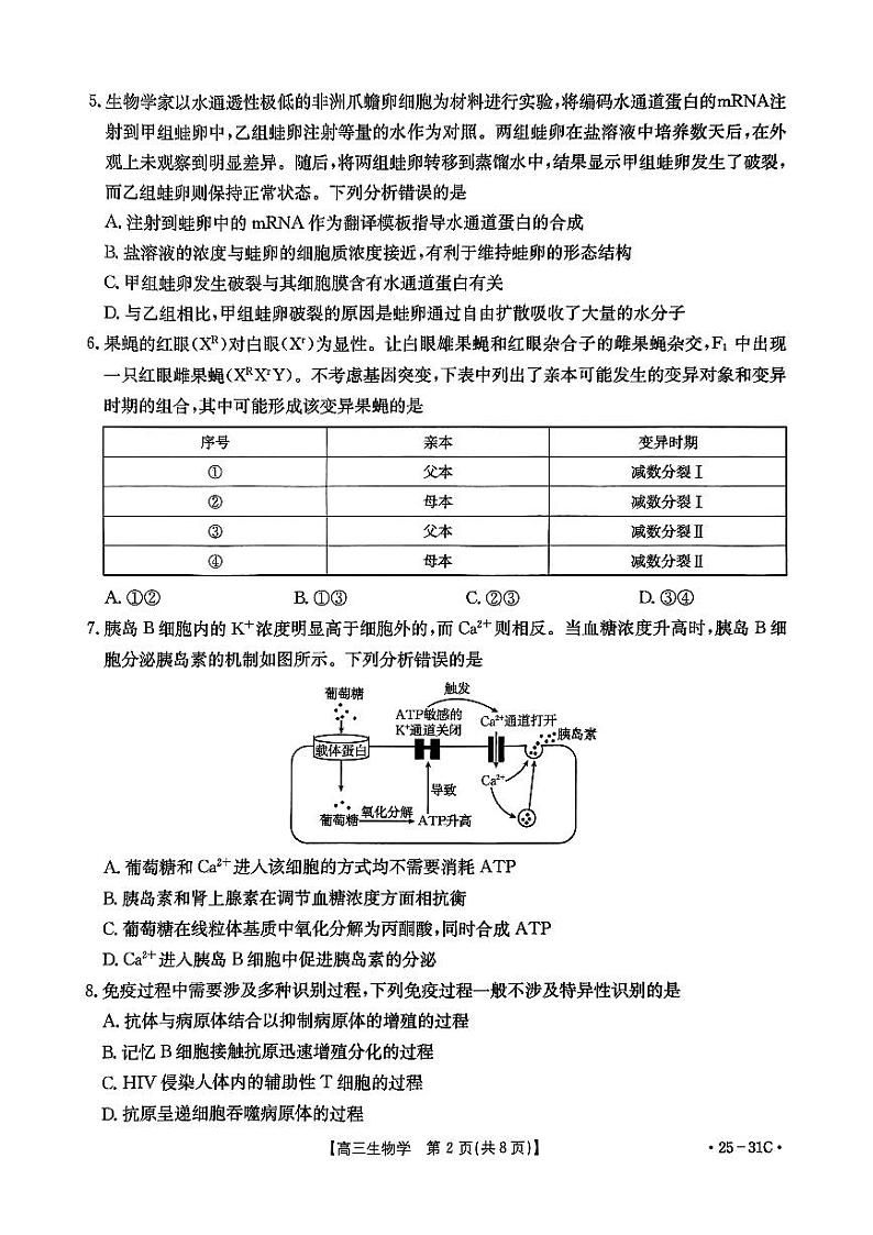 广东2024年高三9月联考卷 生物试题（含答案）第2页