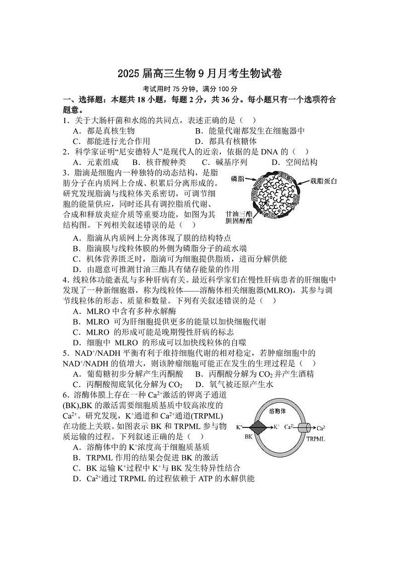 湖北襄阳宜城2024年第一中学高三9月月考 生物试题（含答案）第1页
