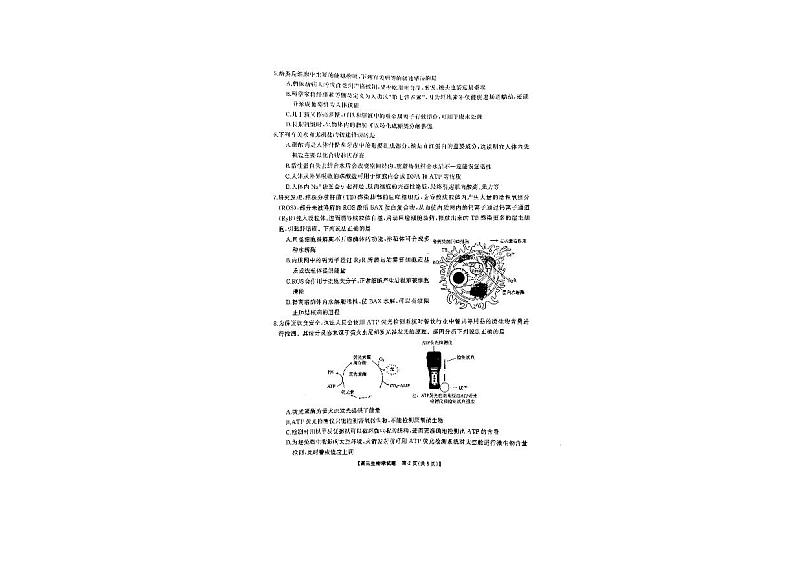 湖南三湘名校2024年高三9月第一次联考 生物试题（含答案）第2页
