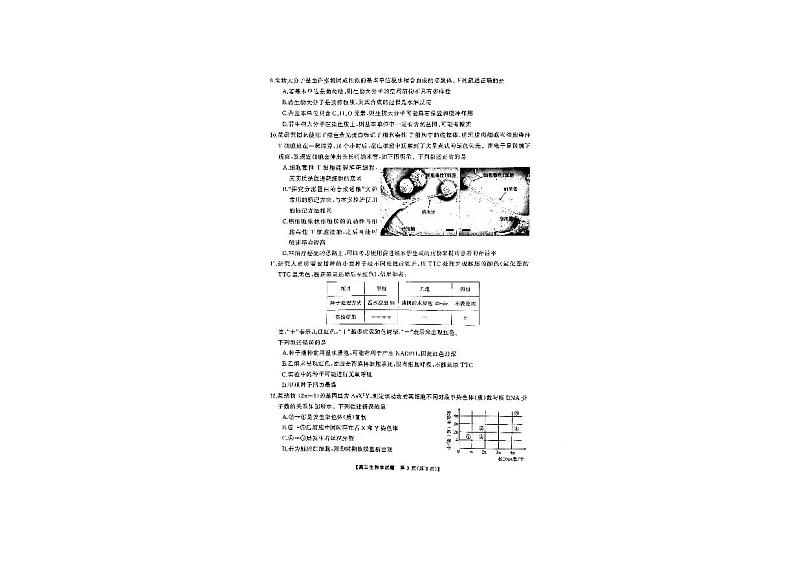 湖南三湘名校2024年高三9月第一次联考 生物试题（含答案）第3页
