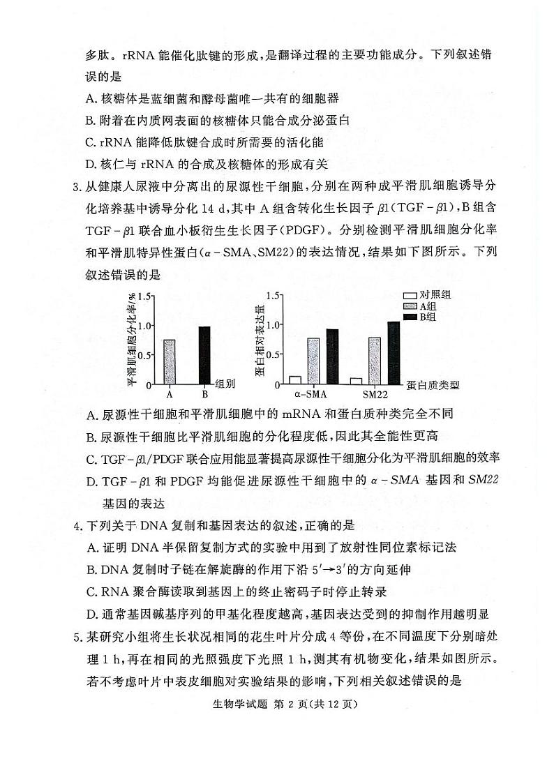 湖南河南湘豫名校2024年高三9月新高考适应性调研考试 生物试题（含答案）02