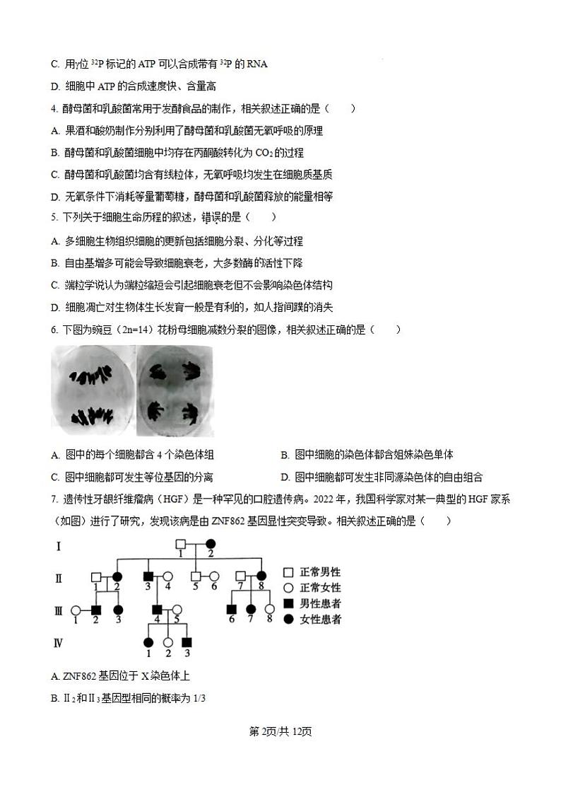 江苏南通2024年高三九月调研测试 生物试题（含答案）02