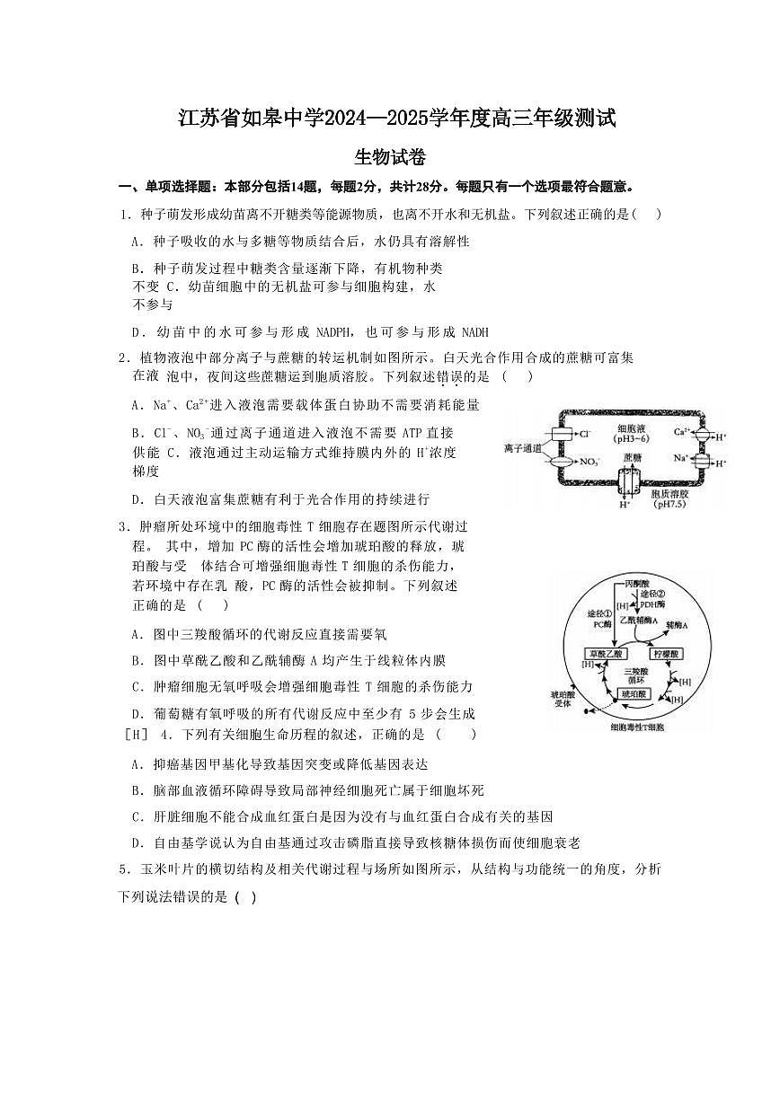 江苏如皋中学2024年高三9月考试 生物试题（含答案）第1页