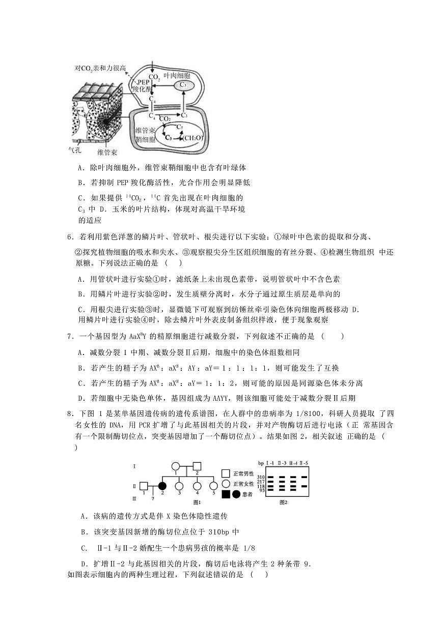 江苏如皋中学2024年高三9月考试 生物试题（含答案）第2页