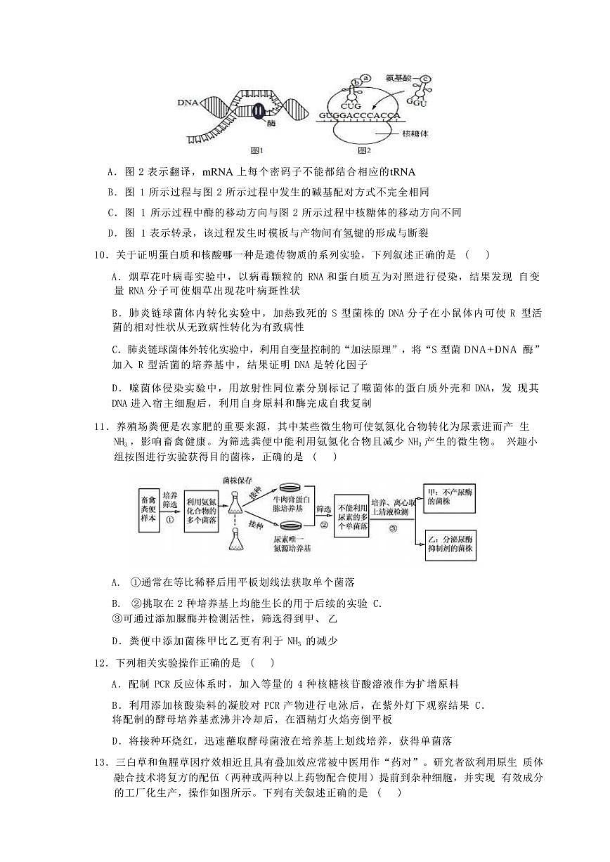 江苏如皋中学2024年高三9月考试 生物试题（含答案）第3页