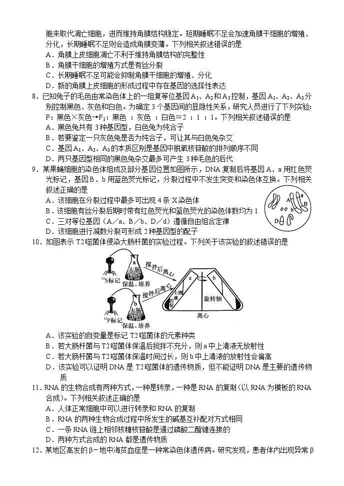 河南省新高中创新联盟TOP二十名校2024-2025学年高三上学期调研考试生物试卷（附参考答案）03