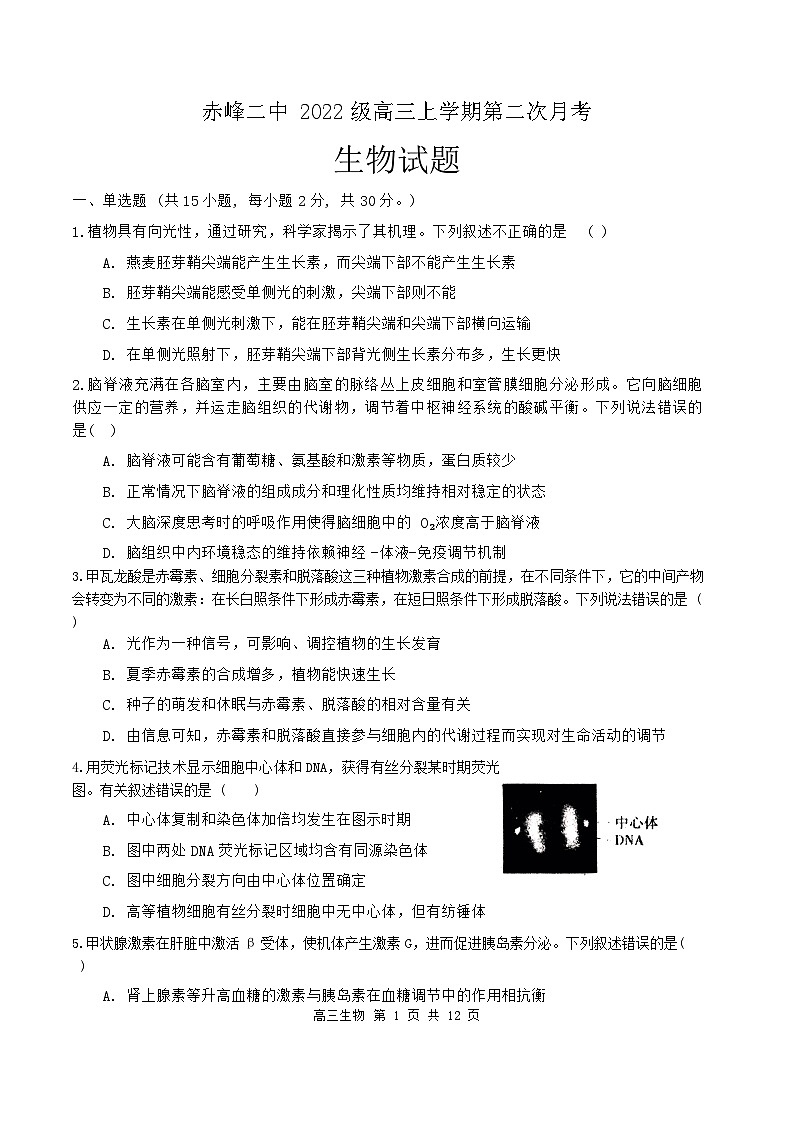 内蒙古自治区赤峰市红山区赤峰二中2024-2025学年高三上学期10月月考生物试题第1页