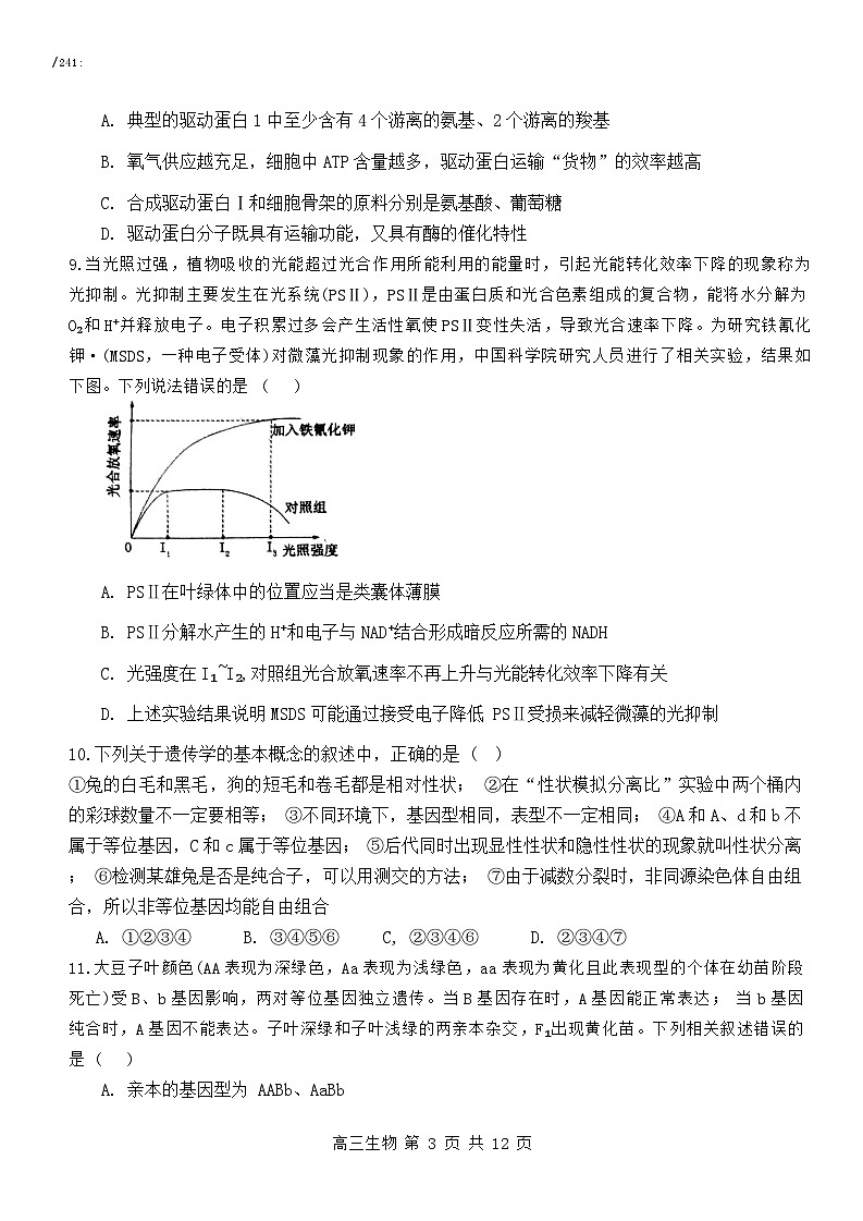 内蒙古自治区赤峰市红山区赤峰二中2024-2025学年高三上学期10月月考生物试题第3页