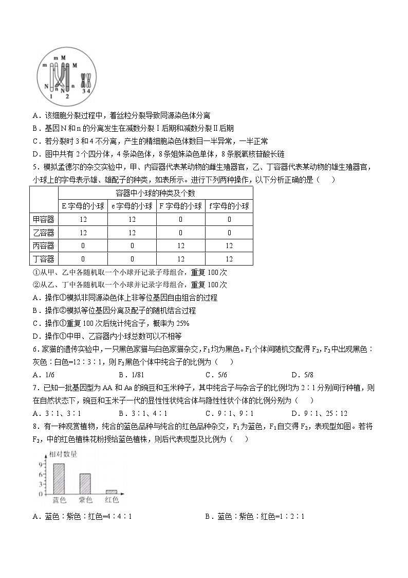 山东省青岛市第一中学2021-2022学年高一下学期4月期中考试生物试卷(无答案)第2页
