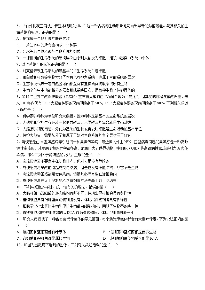 云南省红河哈尼族彝族自治州蒙自市第一高级中学2024-2025学年高一上学期9月月考生物试题02