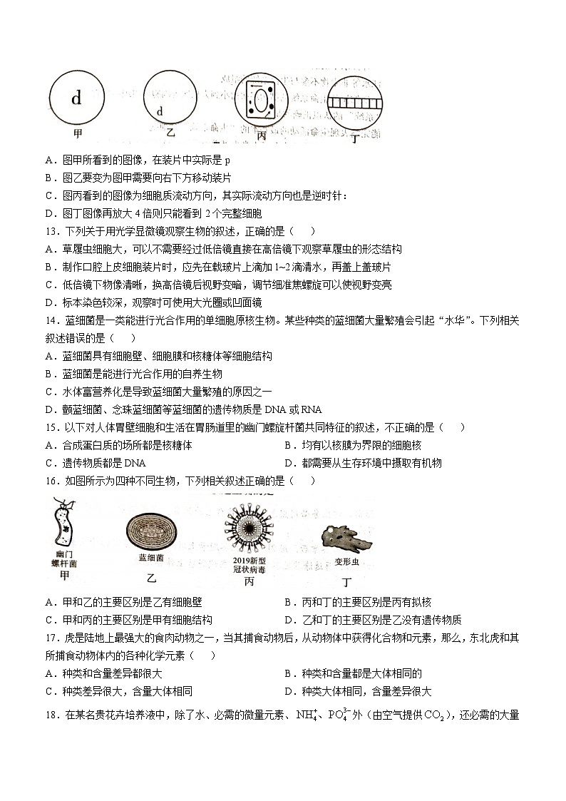 云南省红河哈尼族彝族自治州蒙自市第一高级中学2024-2025学年高一上学期9月月考生物试题03