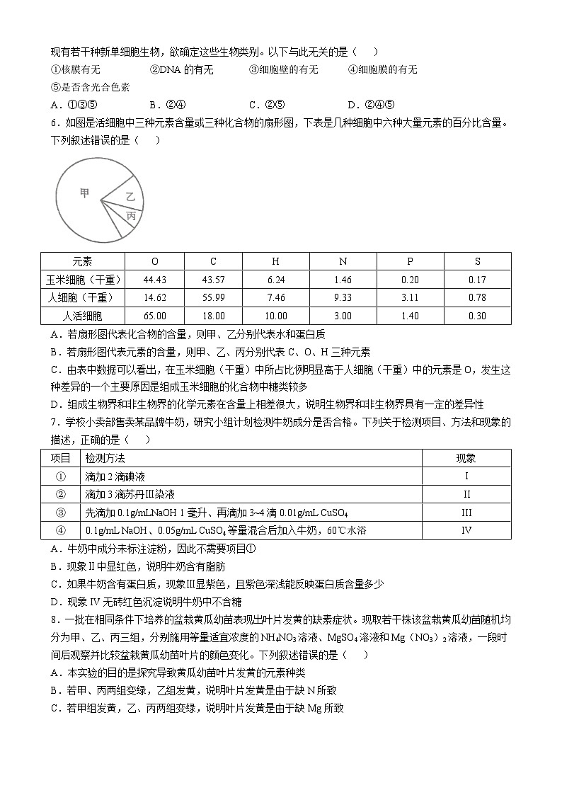 湖北省武汉外国语学校2024-2025学年高一上学期10月阶段性诊断考试生物试卷(无答案)第2页