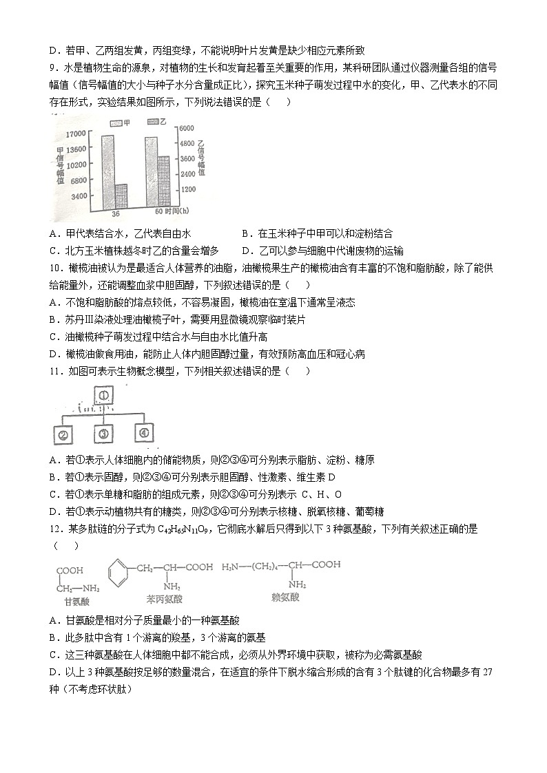 湖北省武汉外国语学校2024-2025学年高一上学期10月阶段性诊断考试生物试卷(无答案)第3页
