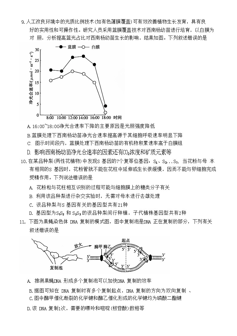 河南省部分学校2024-2025学年高三上学期10月联考生物试题第3页