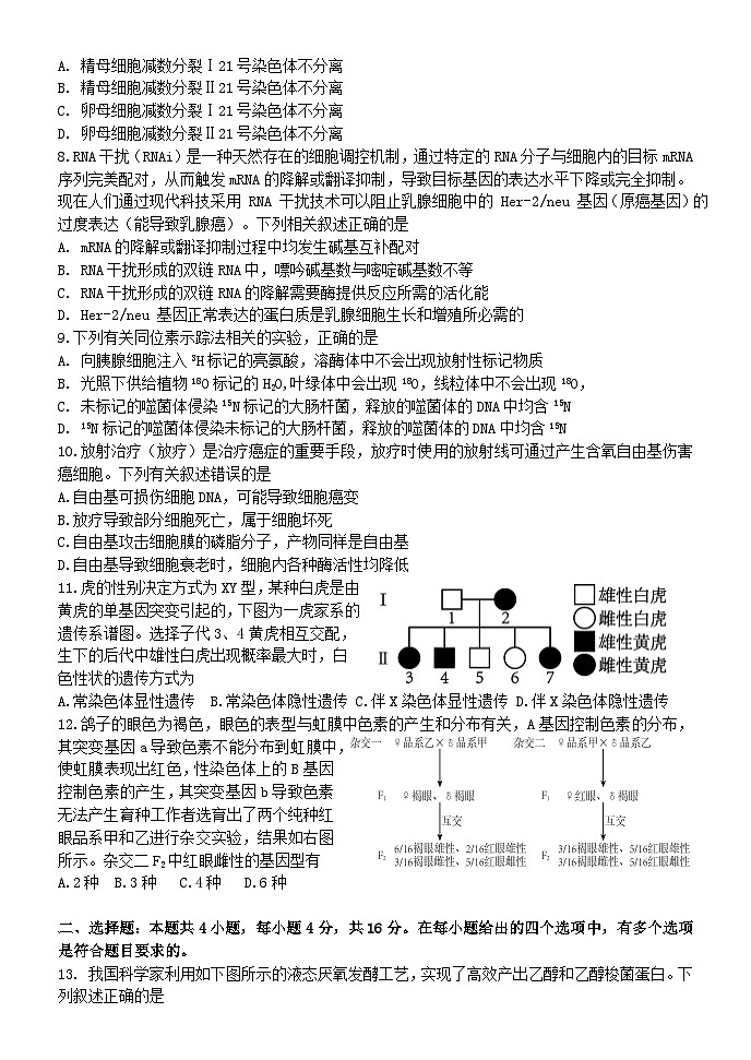 江西省南昌市第二中学2024-2025学年高三上学期10月月考生物试题第2页