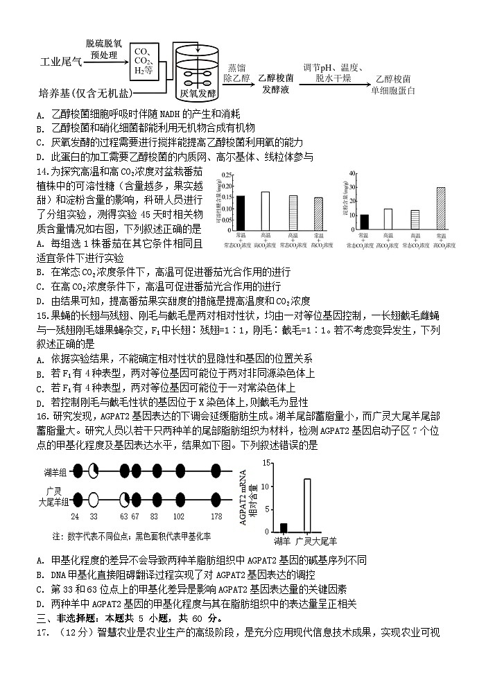 江西省南昌市第二中学2024-2025学年高三上学期10月月考生物试题第3页