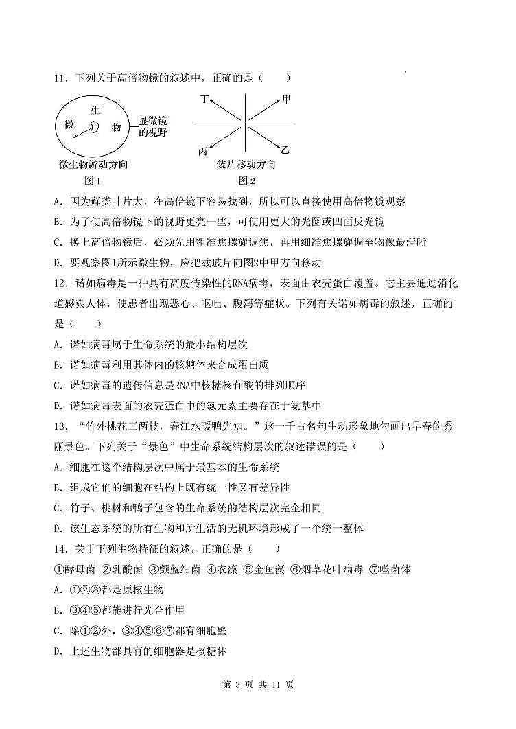 黑龙江省鸡西市鸡冠区鸡西实验中学2024-2025学年高一上学期10月月考生物试题第3页